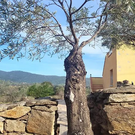 Appartamento Sas Domos De Badde Manna Torpè